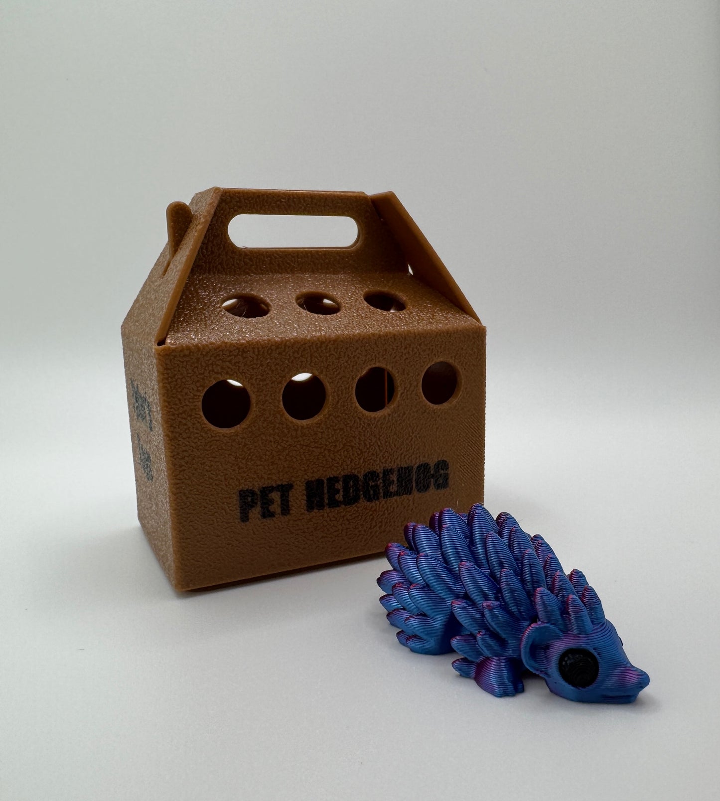 Hedgie the Pet Hegehog