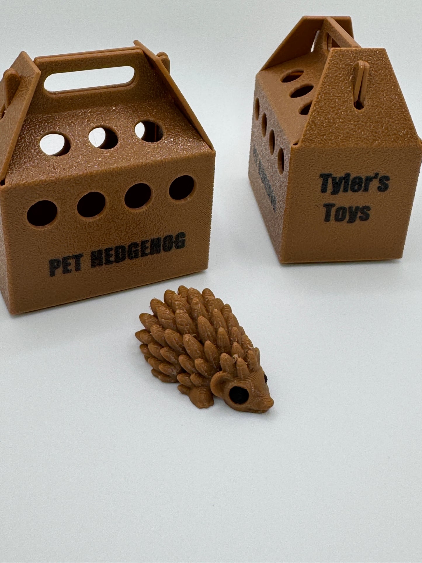 Hedgie the Pet Hegehog