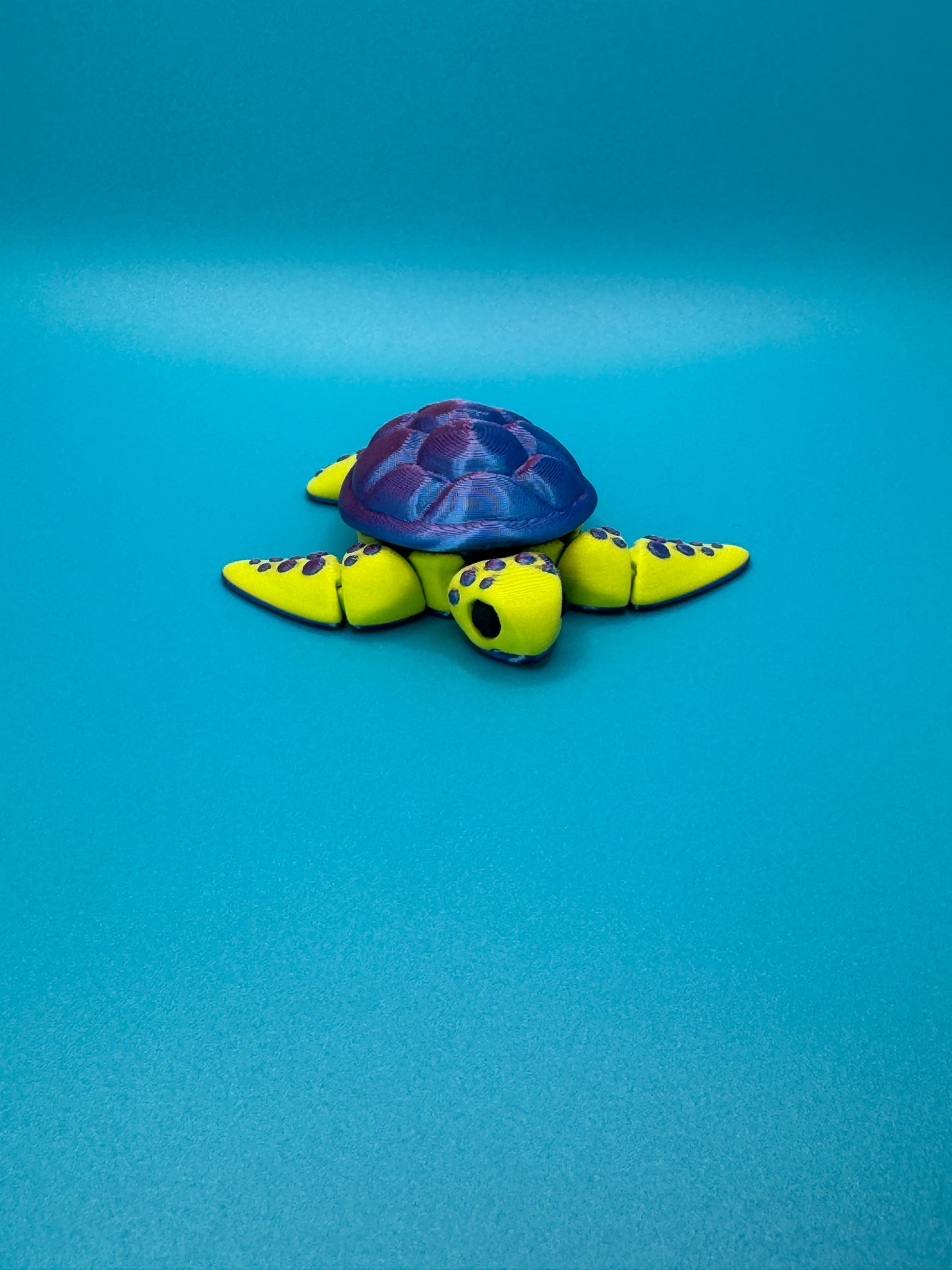 Baby Sea Turtle