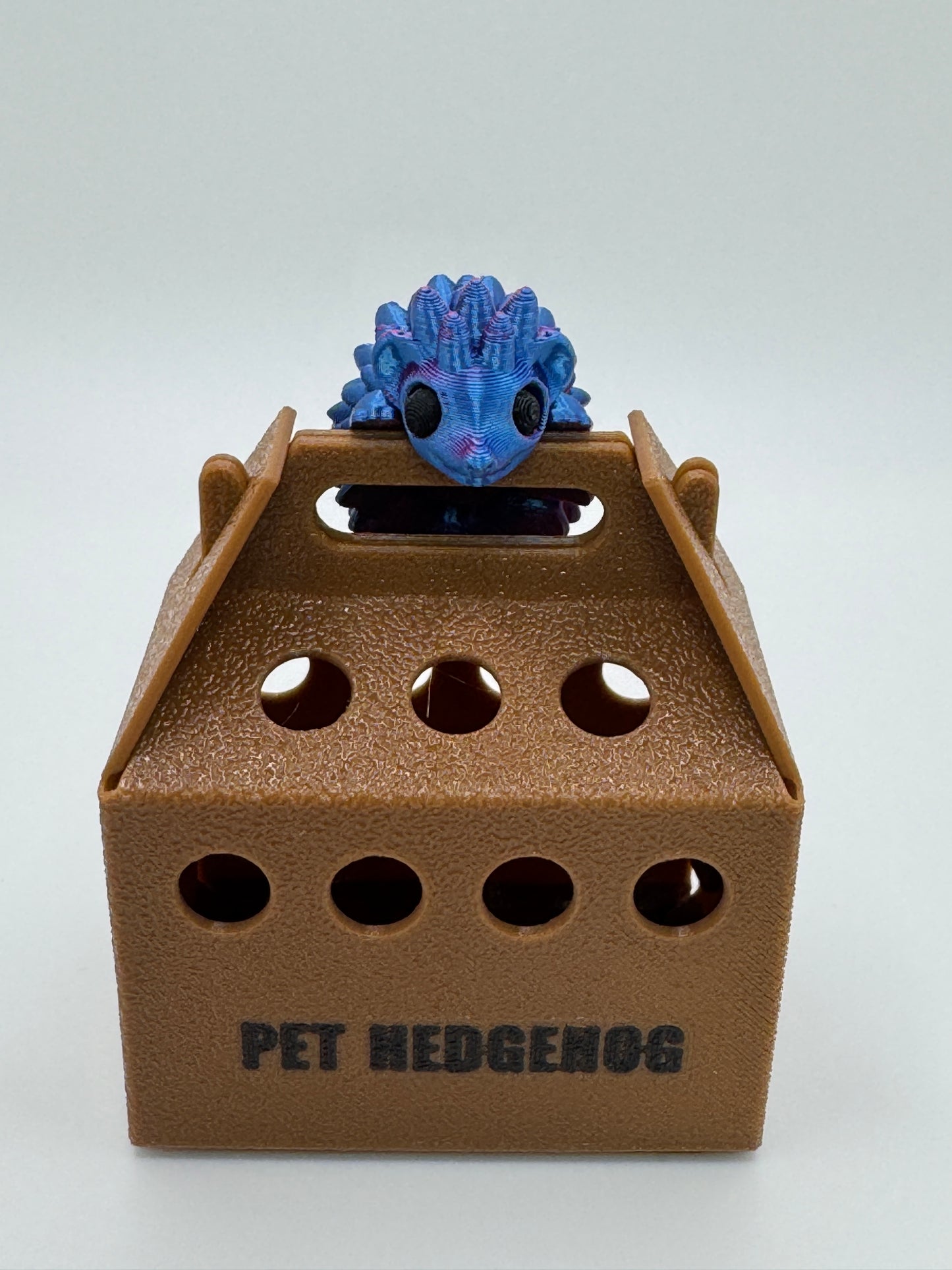 Hedgie the Pet Hegehog