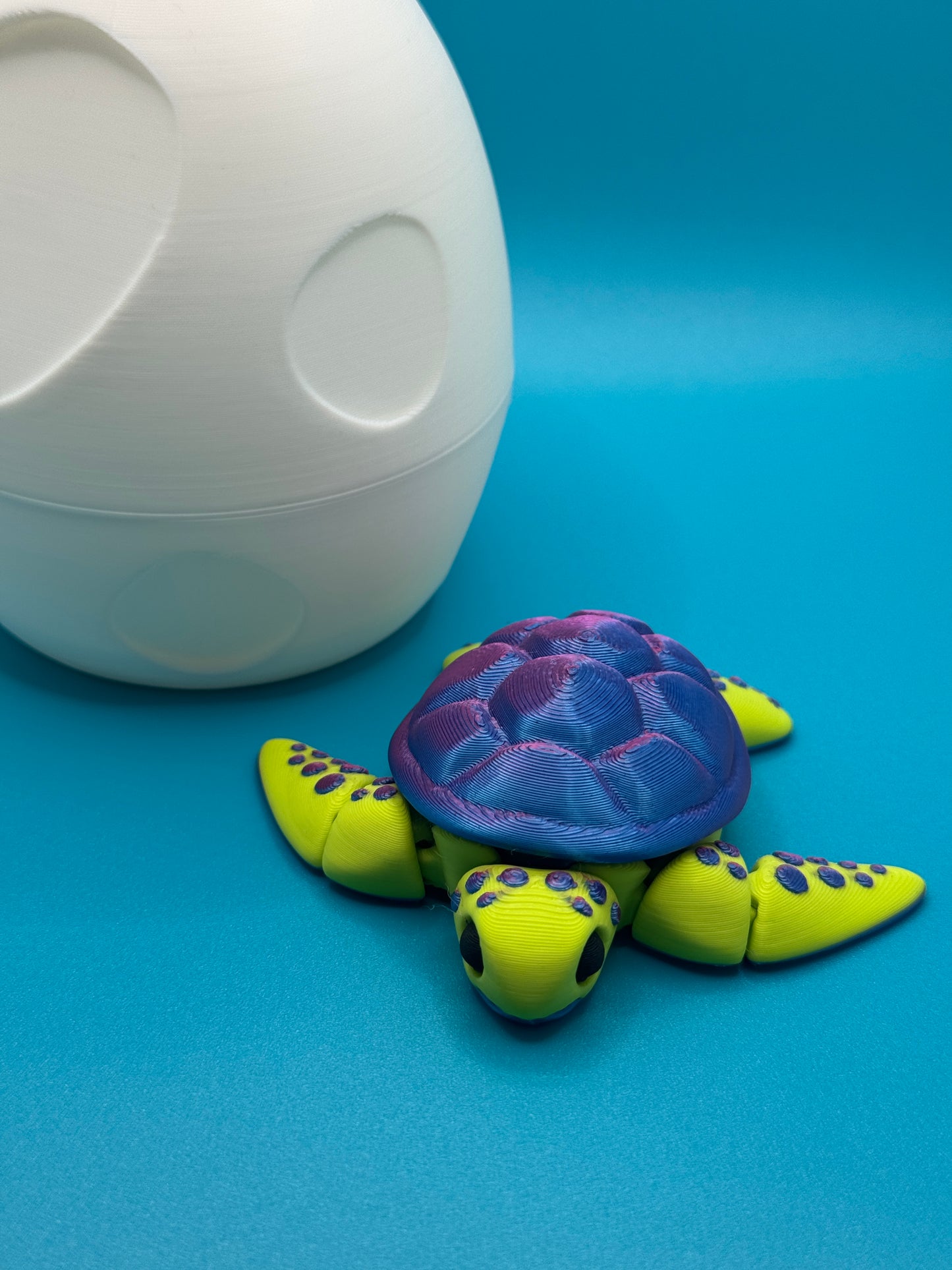 Baby Sea Turtle