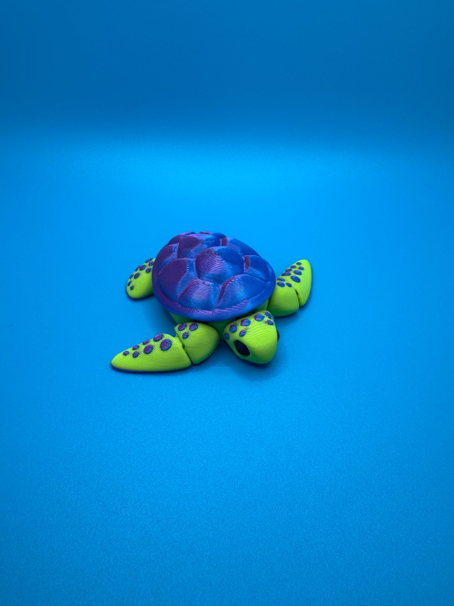 Baby Sea Turtle