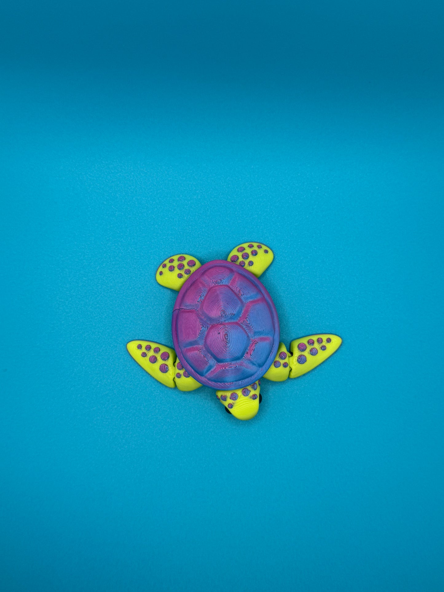 Baby Sea Turtle