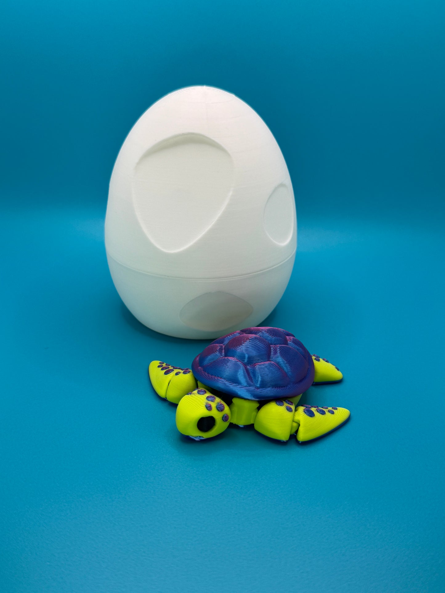 Baby Sea Turtle