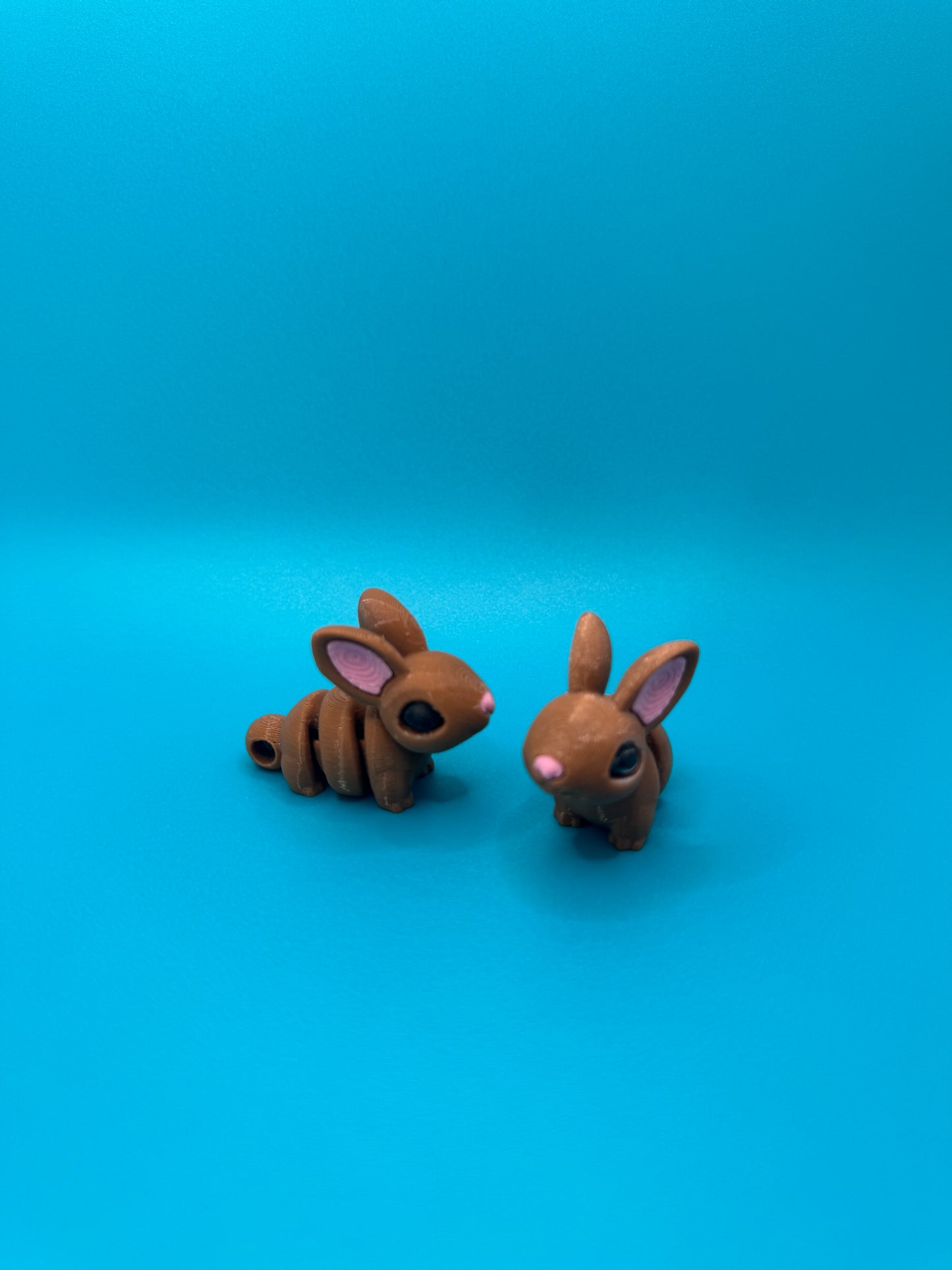 Baby Bunny