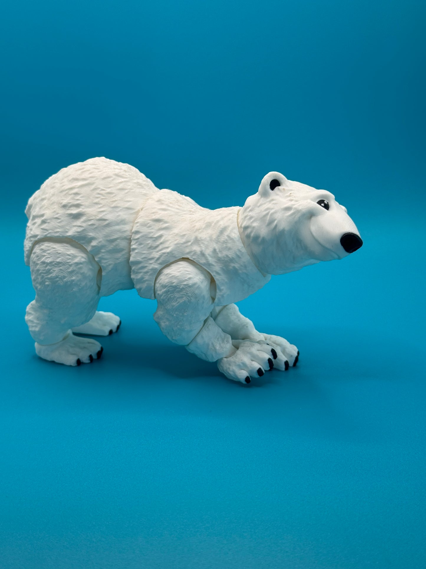 Aurora Polar Bear