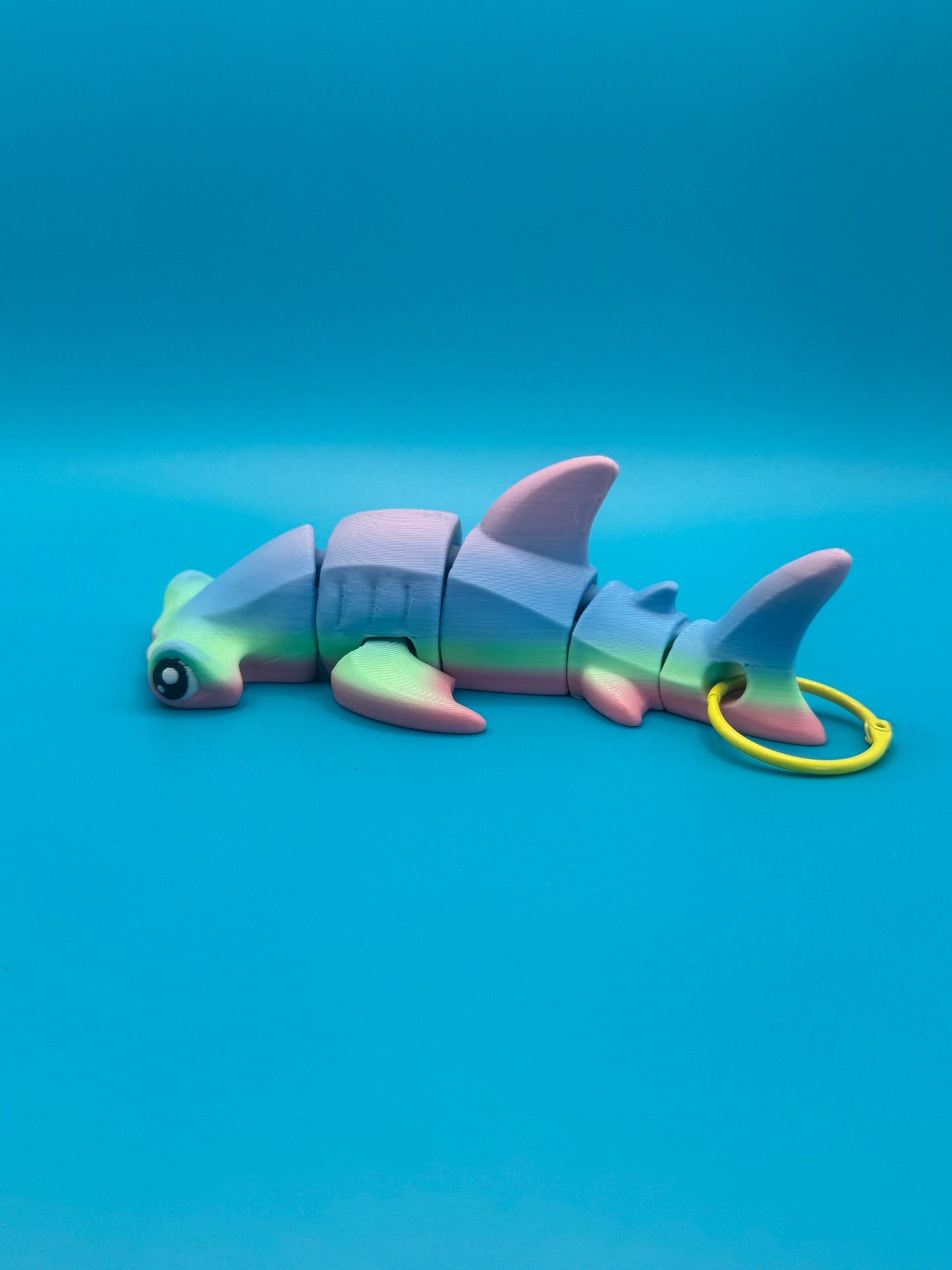 Sledge Hammer   – The Rainbow Reef Hammerhead!
