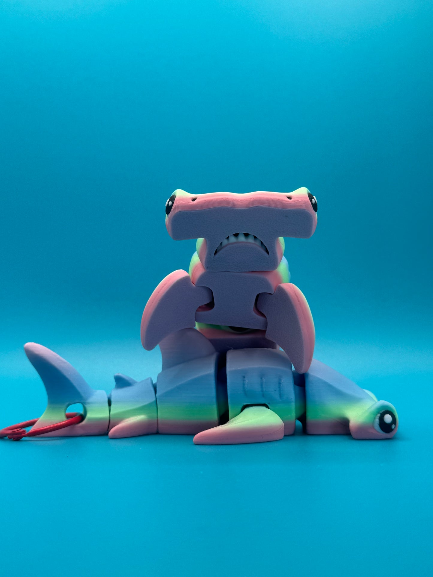 Sledge Hammer   – The Rainbow Reef Hammerhead!
