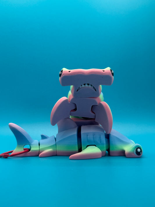 Sledge Hammer   – The Rainbow Reef Hammerhead!